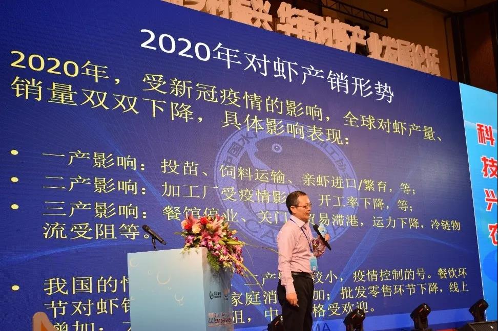 图对虾产销形势.jpg