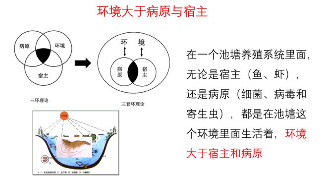 病原与宿主.jpg