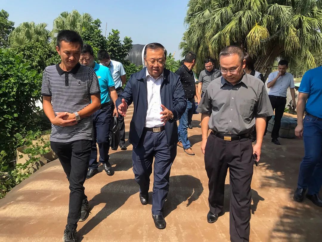 ▲ 了解当地澳洲淡水龙虾与水稻共作的“稻渔种养”模式.jpg