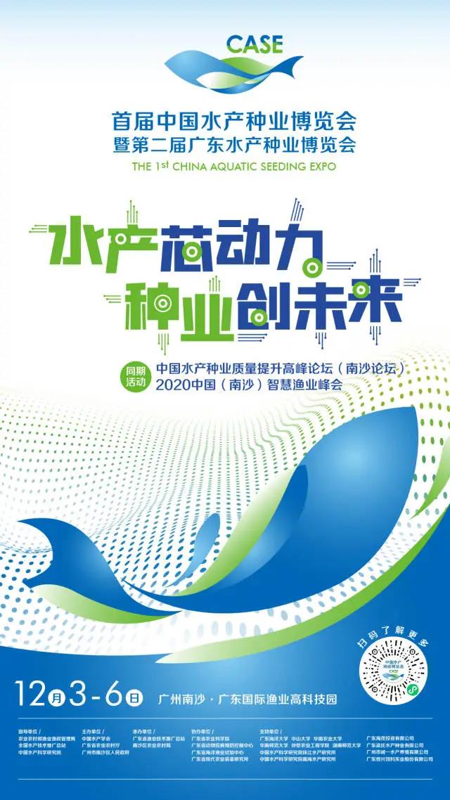 博览会.jpg