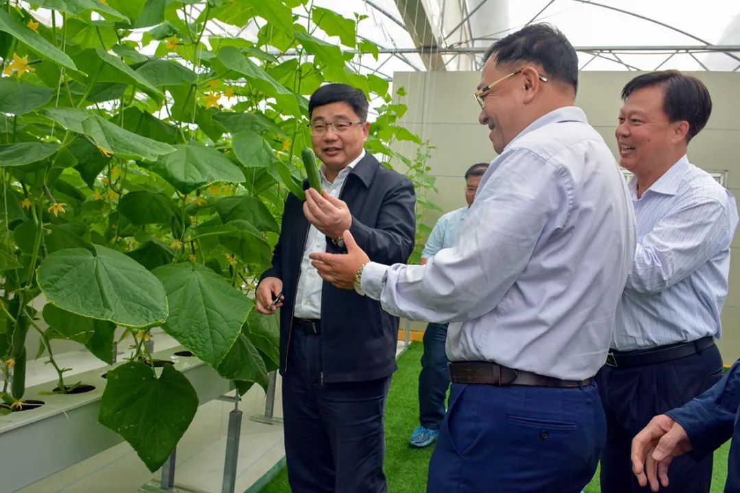▲ 参观工厂化鱼菜共生示范基地.jpg