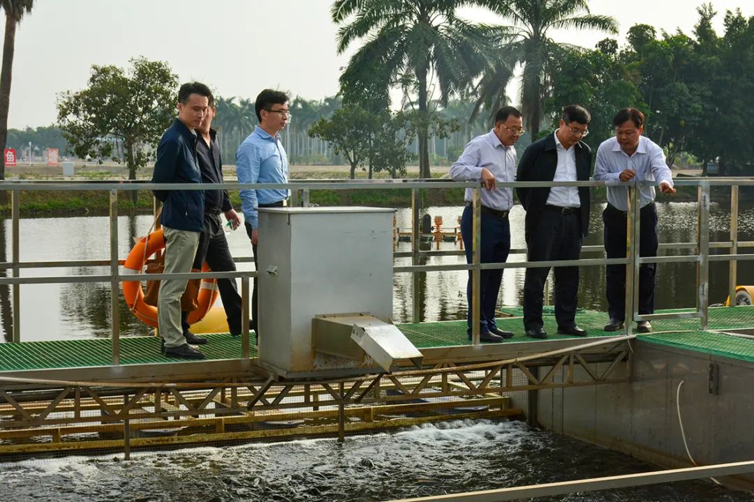 ▲ 参观池塘工程化循环水养殖示范基地.jpg