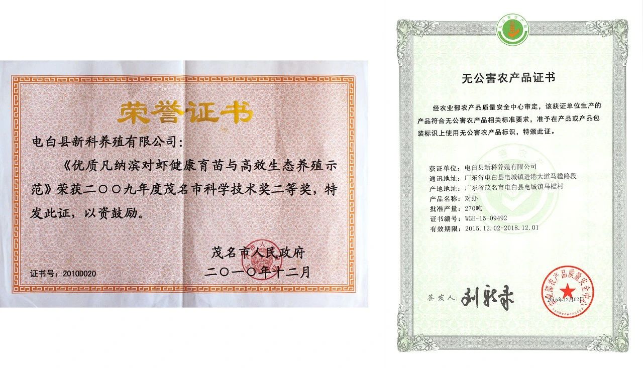 证书.jpg