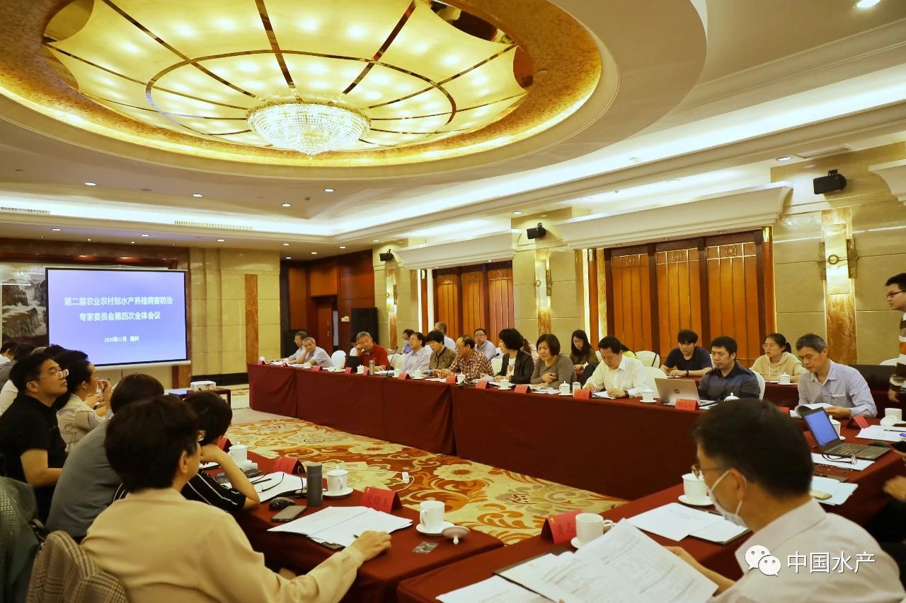座谈会现场.jpg