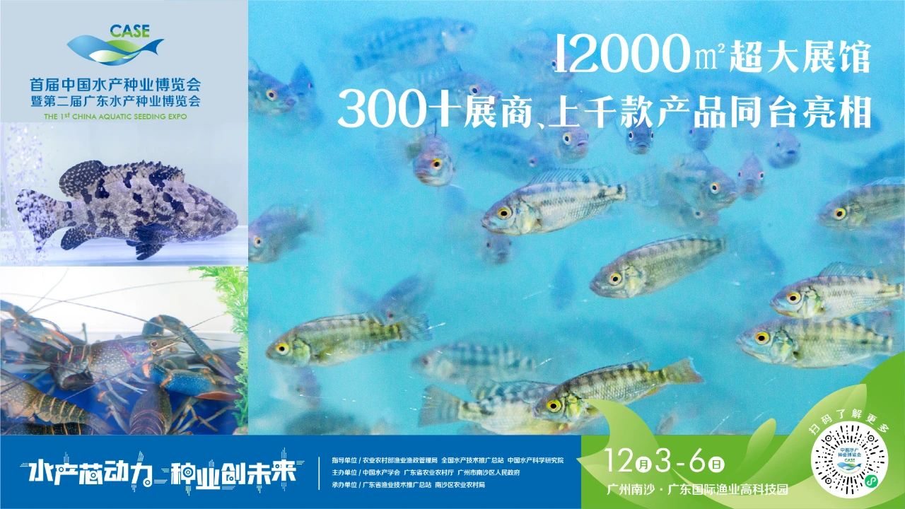12000.jpg