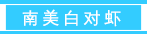 未标题-2.png