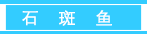 石斑鱼.png