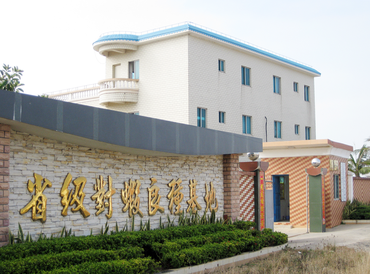 基地.png