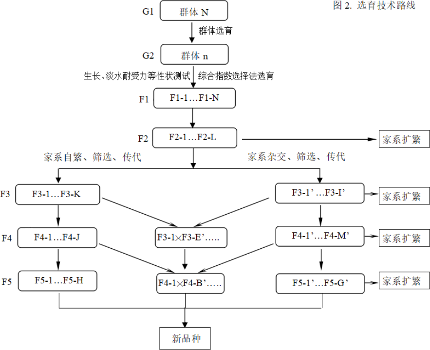 路线图.png