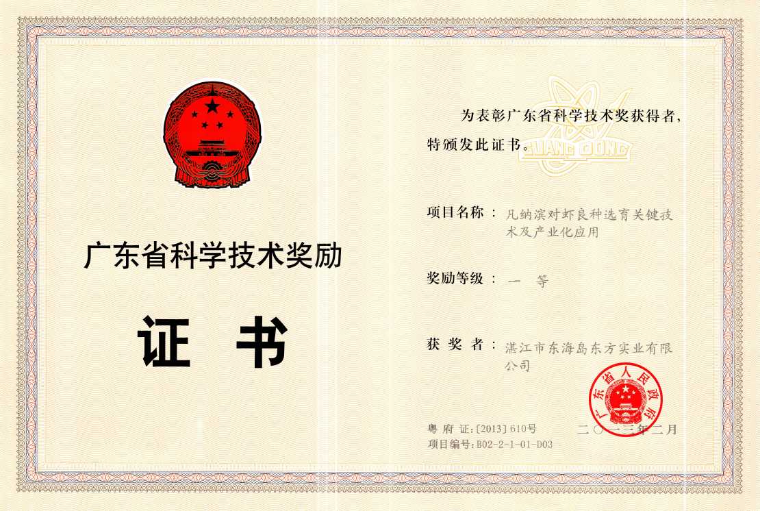 证书1.png