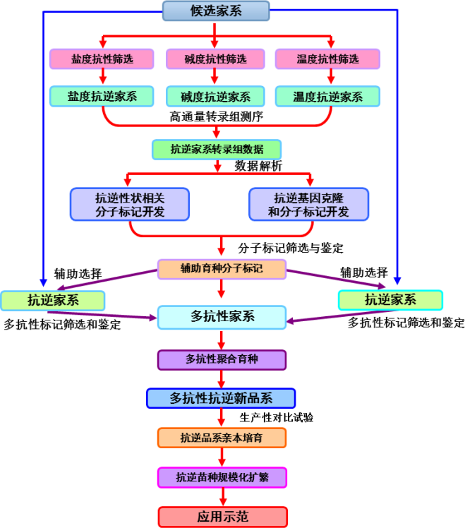 流程图.png