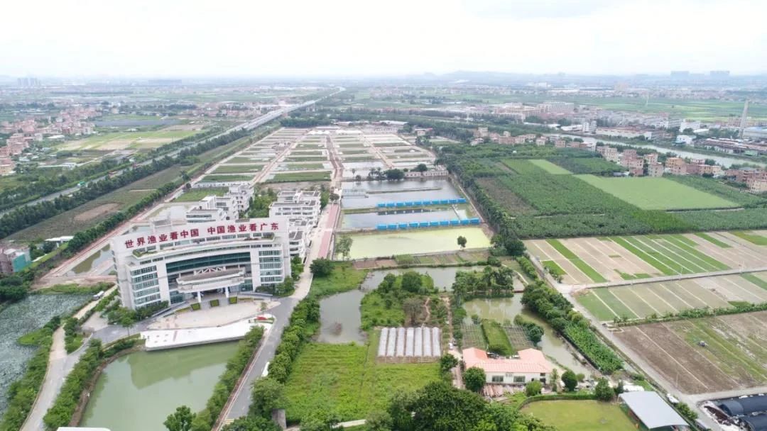 高科技园.jpg