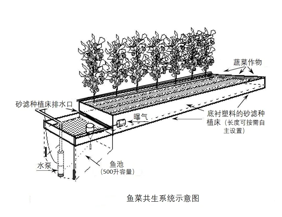 035039yntikmhpgjwi9wmk.jpg