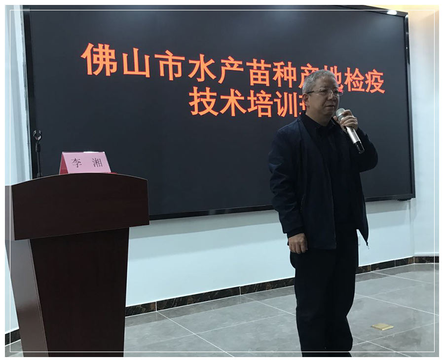 李湘.png