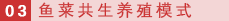 03 鱼菜共生养殖模式.png