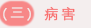 病害.png