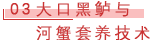 03 大口黑鲈与河蟹套养技术.png