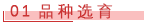 01 品种选育.png