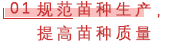 01 规范苗种生产，提高苗种质量.png
