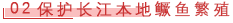 保护长江本地鳜鱼繁殖.png