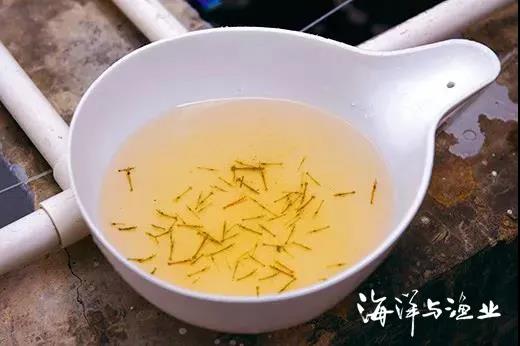 ▶ 长丰“南海2号”.jpg