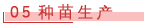 05 种苗生产.png