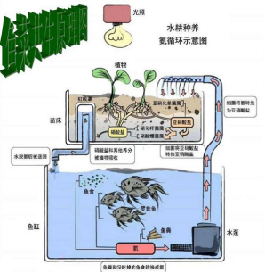 微信图片_20201224090507.png