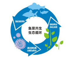 微信图片_20201224090539.png