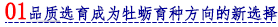 01 品质选育成为牡蛎育种方向的新选择.png