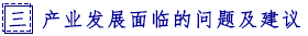 三  产业发展面临的问题及建议.png