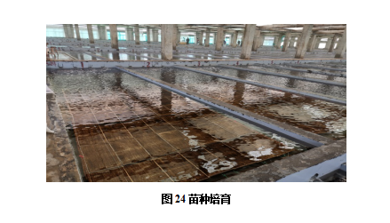 图24.png