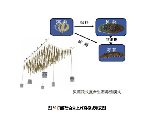 图30.png