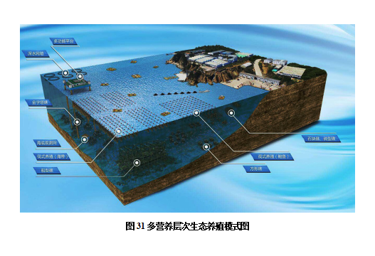 图31.png