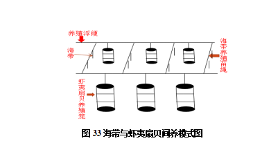 图33.png