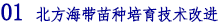 01 北方海带苗种培育技术改进.png