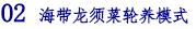 02 海带龙须菜轮养模式.png