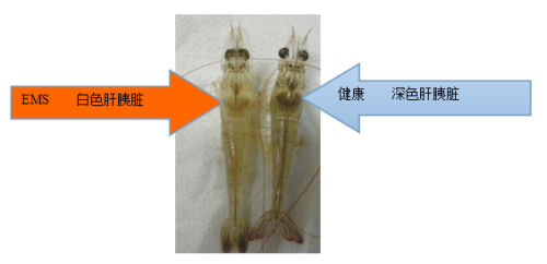 微信图片_20210115142128.png