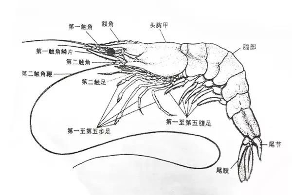 微信图片_20210120101210.jpg