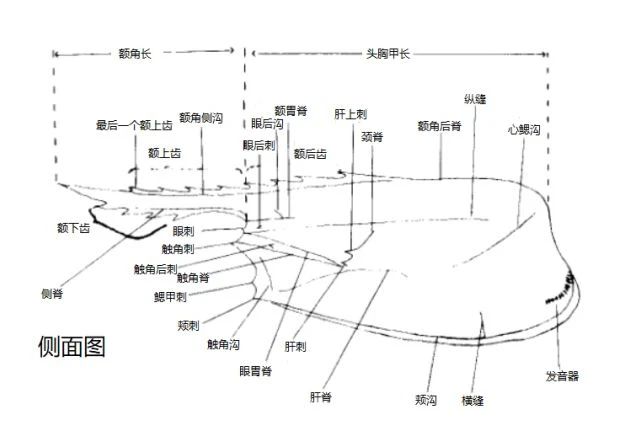 微信图片_20210120101217.jpg