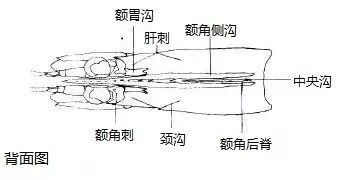 微信图片_20210120101223.jpg