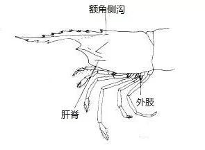微信图片_20210120101311.jpg