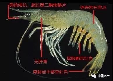 微信图片_20210120103138.jpg