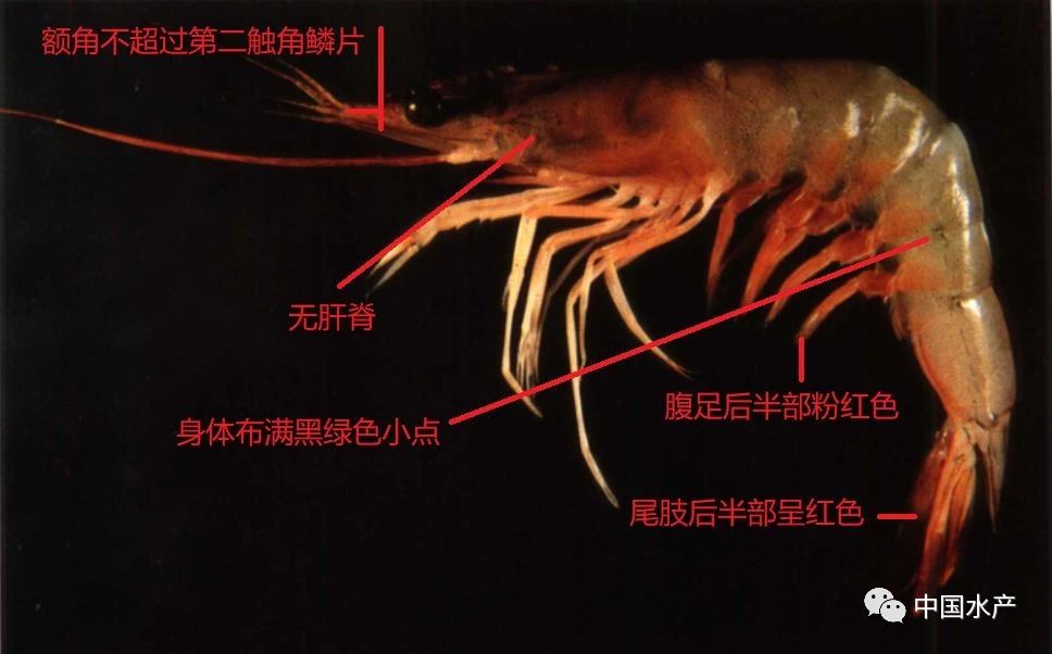 微信图片_20210120103404.jpg