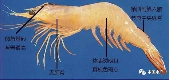 微信图片_20210120103604.jpg