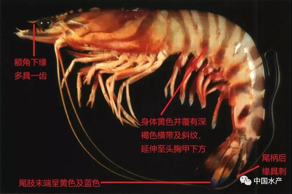 微信图片_20210120103737.jpg