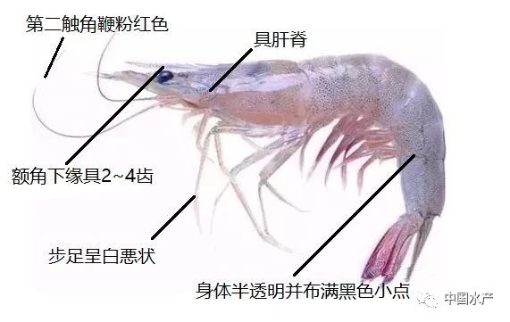 微信图片_20210120103849.jpg
