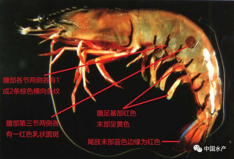 微信图片_20210120104520.jpg