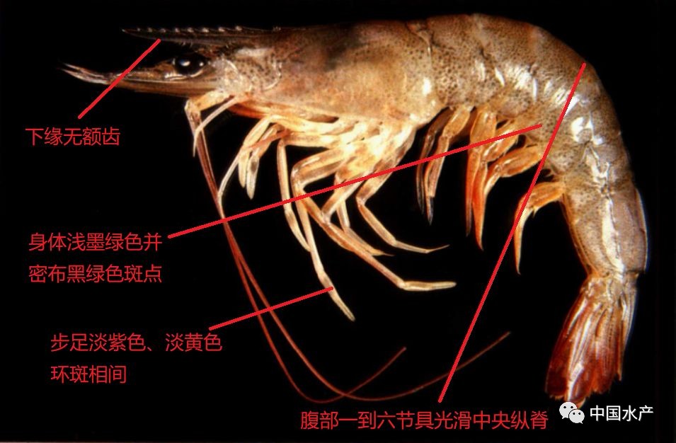 微信图片_20210120104636.jpg
