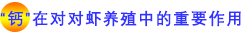 “钙”在对对虾养殖中的重要作用.png