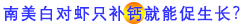 南美白对虾只补钙就能促生长？.png